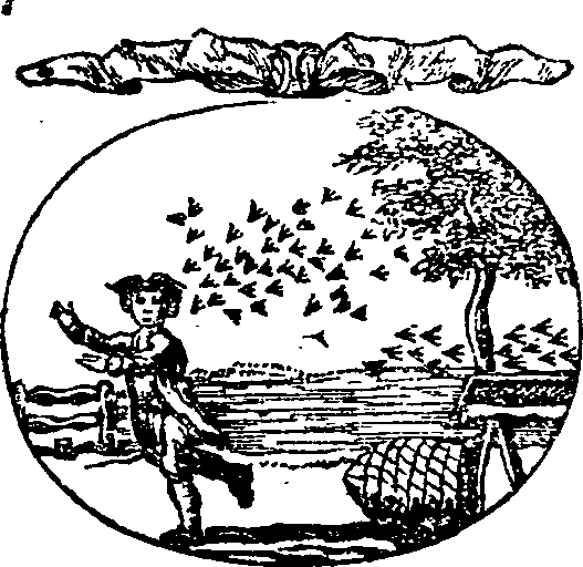 015/015810140000300_0.png
