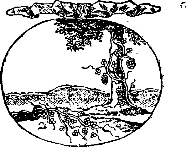 015/015810140000860_0.png