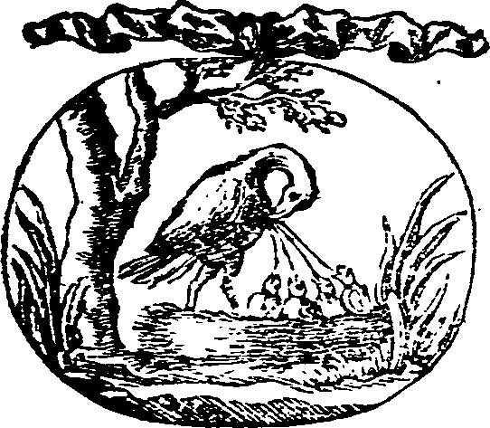 015/015810140001550_0.png