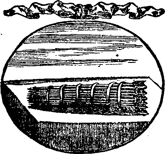 015/015810140001860_0.png