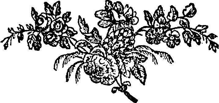 015/015840070000010_0.png