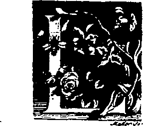 015/015970210000080_0.png