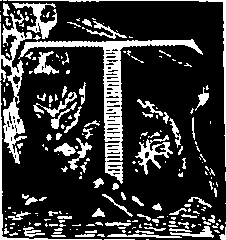 015/015970210000130_0.png