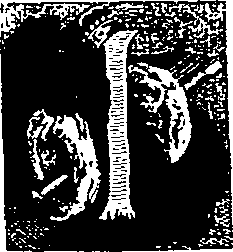 015/015970210000240_0.png