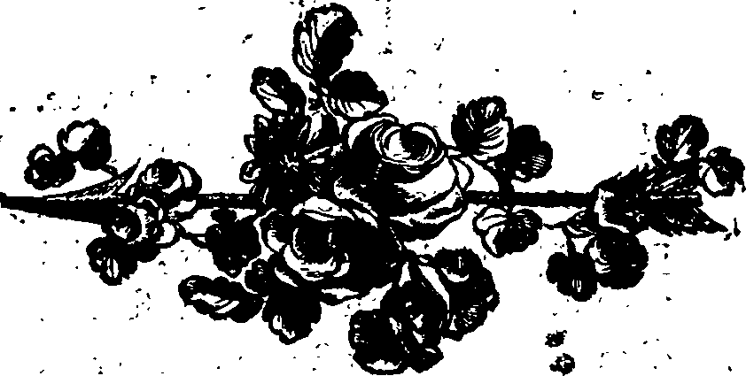 015/015990050000130_1.png