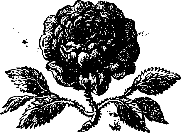 016/016020010300010_0.png