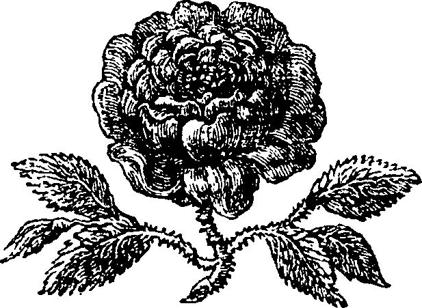 016/016020010400010_0.png