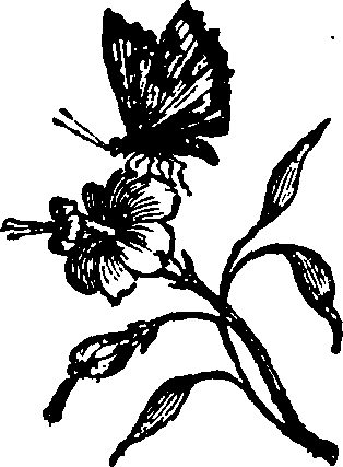 016/016160010802520_0.png