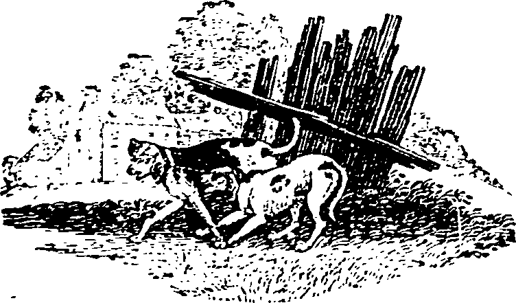 016/016160010802910_0.png