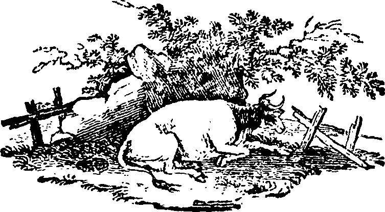 016/016160010803370_0.png
