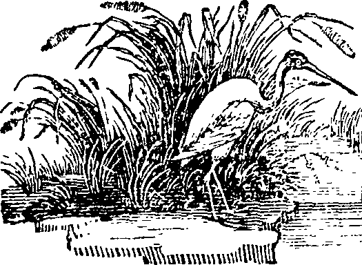 016/016160010803510_0.png