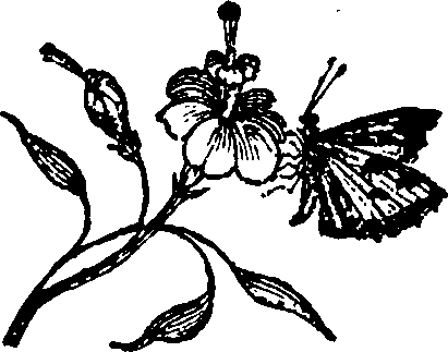 016/016160010900830_0.png