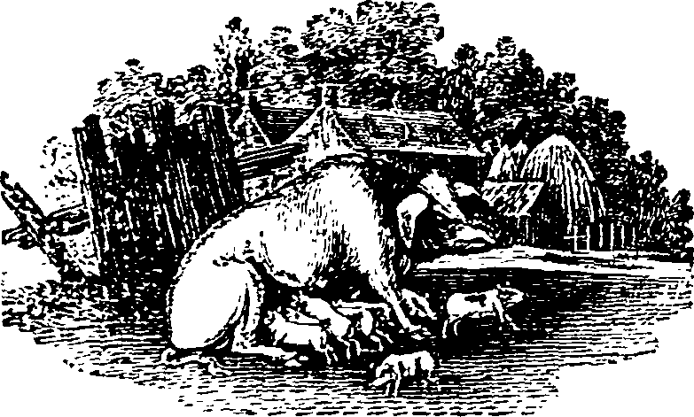 016/016160010901630_0.png