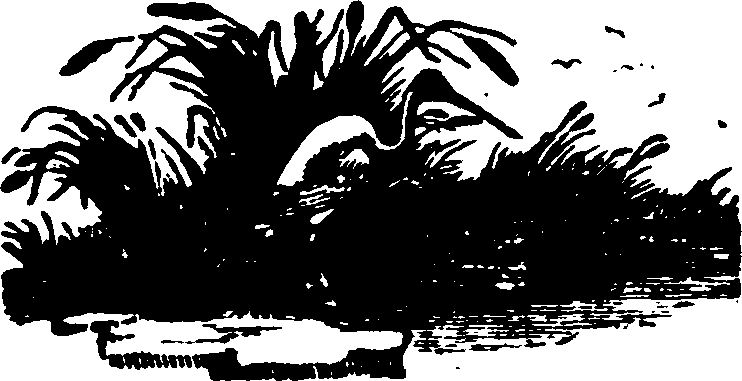 016/016170011000610_0.png