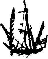 016/016170011101560_0.png