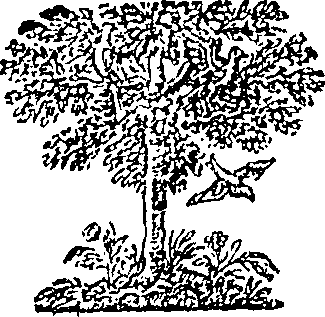 016/016370250101350_0.png