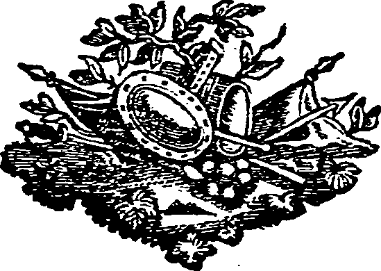 016/016420200002980_1.png