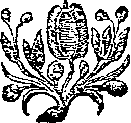 016/016530010201000_0.png