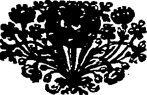 016/016640010001200_0.png