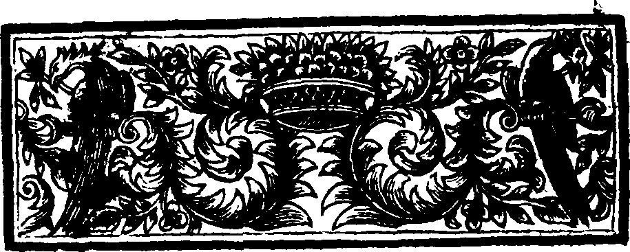 016/016860030000020_1.png