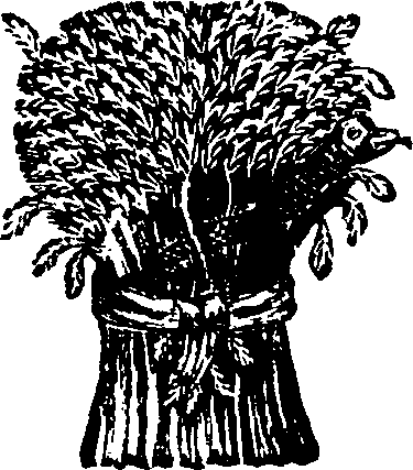 017/017010030000240_0.png
