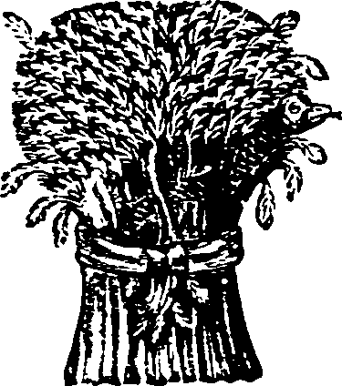 017/017010030000590_0.png