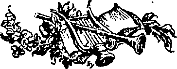 017/017090120000010_0.png