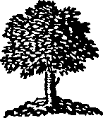 017/017090120000920_0.png