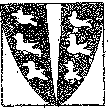 017/017620060000650_2.png