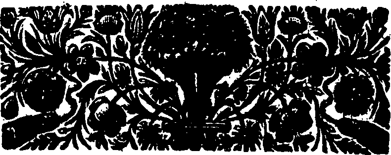 017/017720030100340_1.png