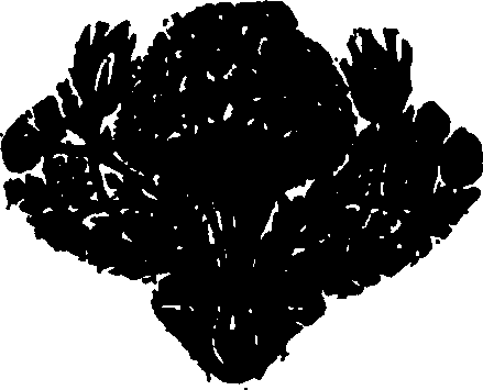 017/017720030100960_0.png