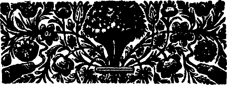 017/017720030301240_2.png