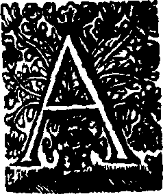 017/017810080102590_0.png