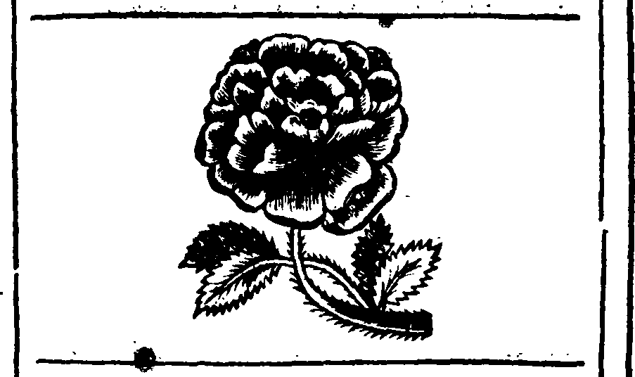017/017810080300010_0.png