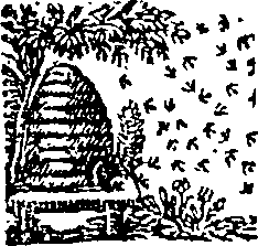 017/017870040003780_0.png