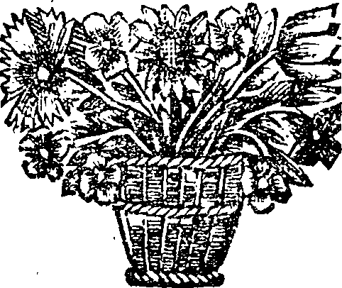 017/017870050000050_0.png