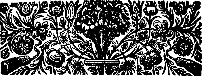 018/018030040000020_1.png