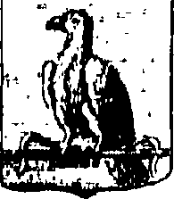 018/018280030001430_14.png
