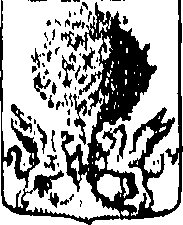 018/018280030001430_15.png
