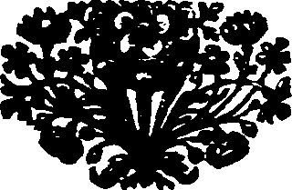 018/018280030005030_0.png
