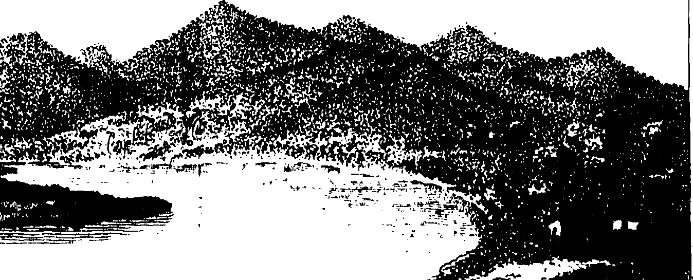 018/018310010002720_0.png