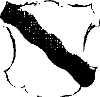018/018310040000960_6.png
