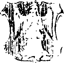 018/018310040002400_5.png