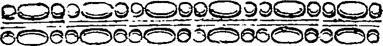 018/018330040001160_0.png