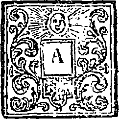 019/019010090100020_0.png