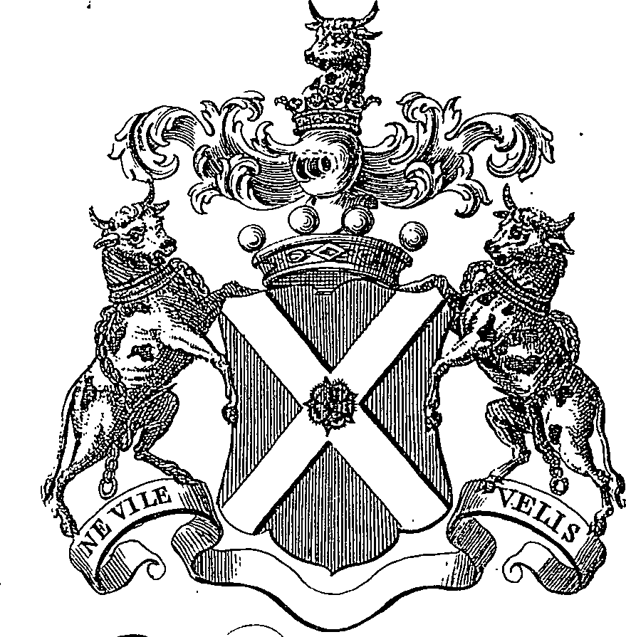 019/019050010605600_0.png