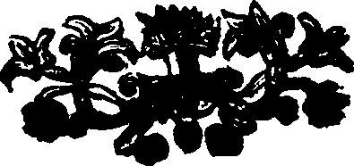 019/019100100000010_0.png
