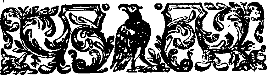 019/019110050000040_1.png