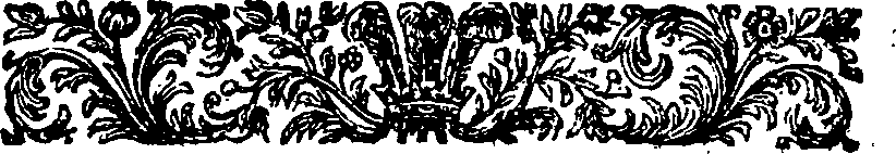 019/019130020001770_1.png