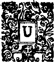 019/019130070000190_0.png